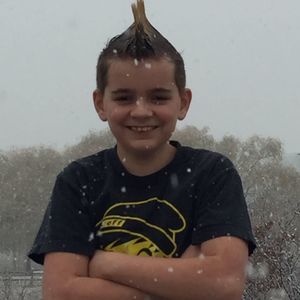 Meet your Posher, Joey